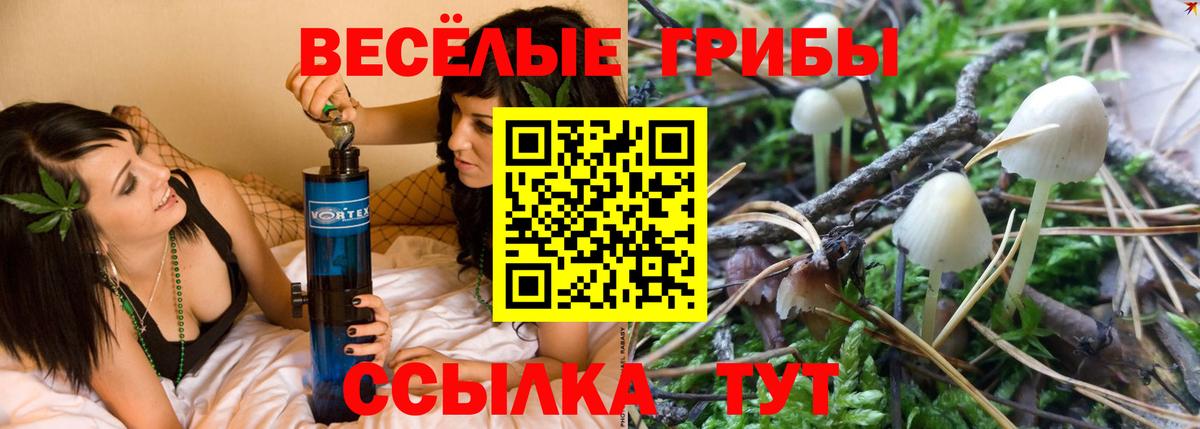 Псилоцибиновые грибы MAGIC MUSHROOMS  Вход с VPN  цена   Псилоцибиновые грибы мухоморы  Чебоксары 