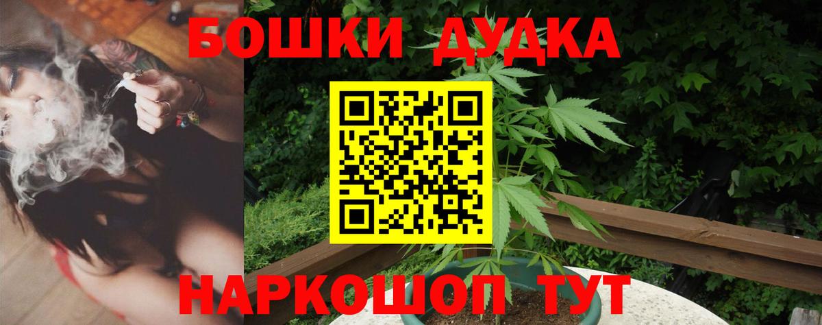 Бошки Шишки семена Чебоксары